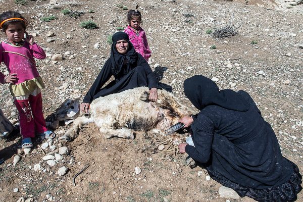 Obscured Journey 04 A Photo Essay by: Sardar Farrokhi