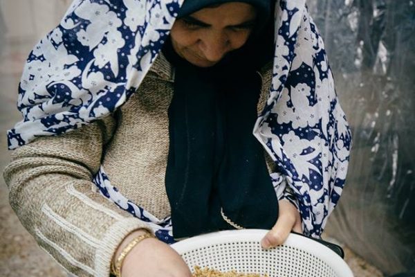 50940301_2210390752581618_2558943778404564992_n