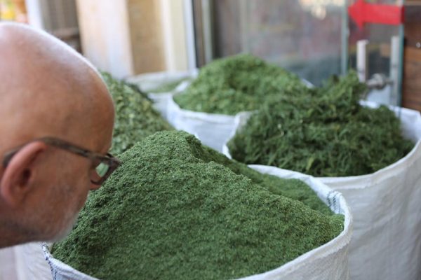 Johnny-Normark-Friskilä-See-You-in-Iran-7