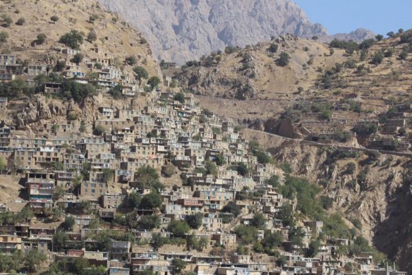 SYI-Zohreh-Mostafavi-5