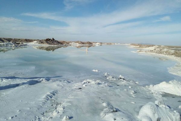 syi-blog-Anna-Brinks-14