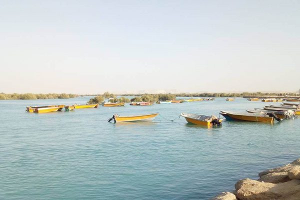 syi-blog-Anna-Brinks-2