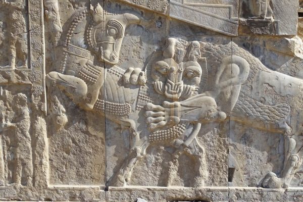 syi-blog-Cora-Peters-10