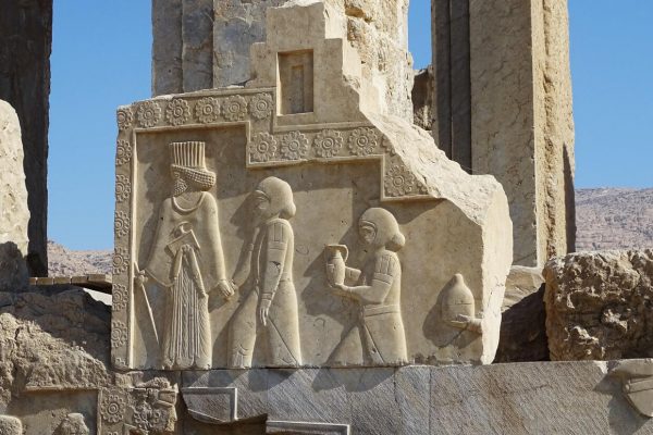 syi-blog-Cora-Peters-11