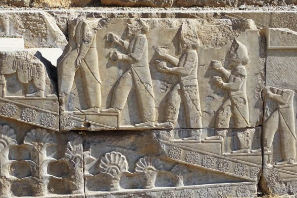 syi-blog-Cora-Peters-12