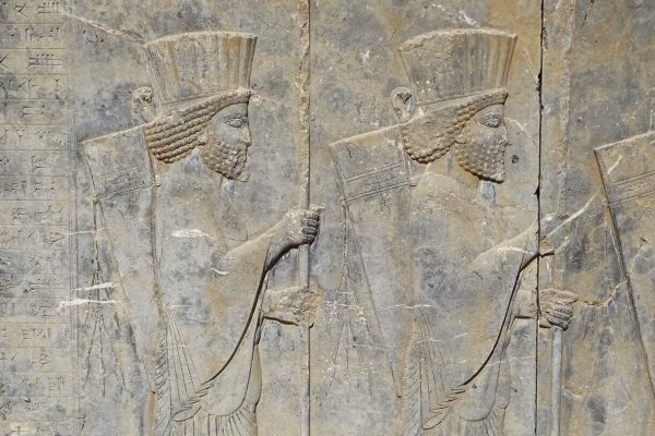 syi-blog-Cora-Peters-13