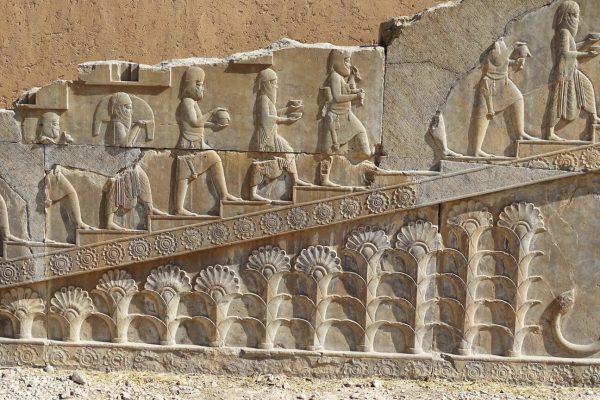 syi-blog-Cora-Peters-15