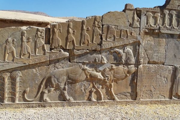 syi-blog-Cora-Peters-16