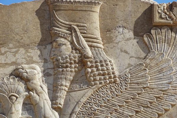 syi-blog-Cora-Peters-17