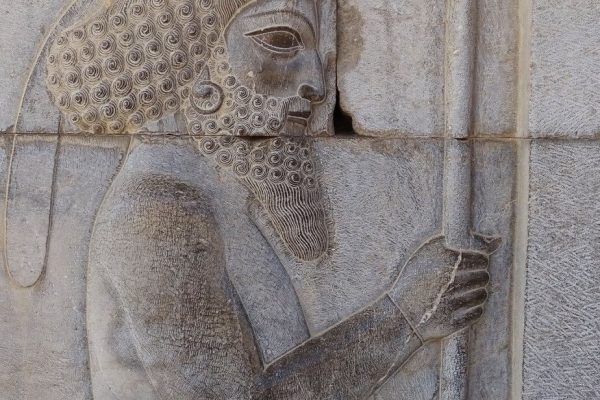 syi-blog-Cora-Peters-18