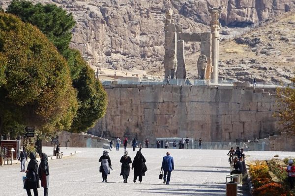 syi-blog-Cora-Peters-2