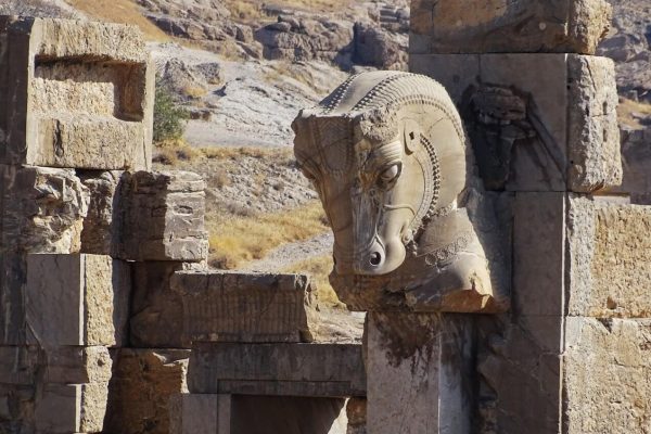 syi-blog-Cora-Peters-20