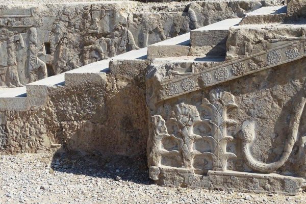 syi-blog-Cora-Peters-8