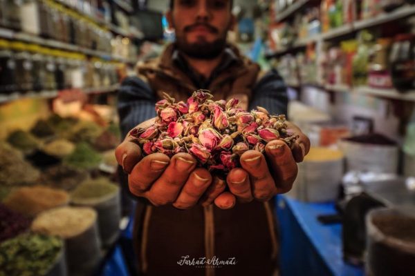 syi-blog-Farhad-Ahmadi-1
