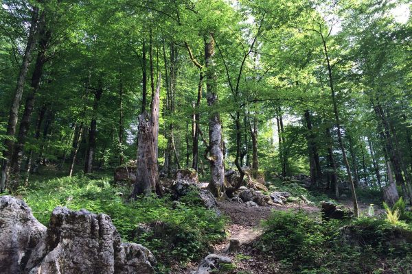 syi-blog-Marianne-Mahrue-8