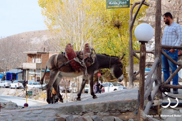 syi-blog-Rose-Yaacob-18