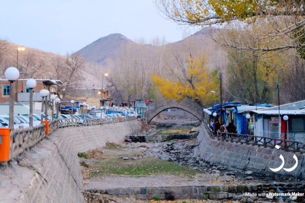 syi-blog-Rose-Yaacob-4