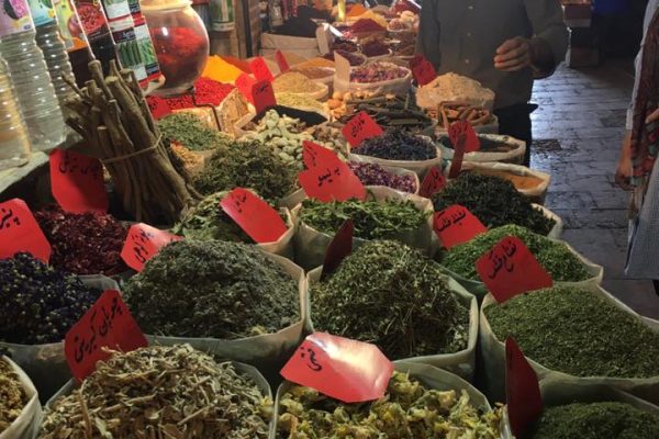 syi-blog-aaron-malone-2