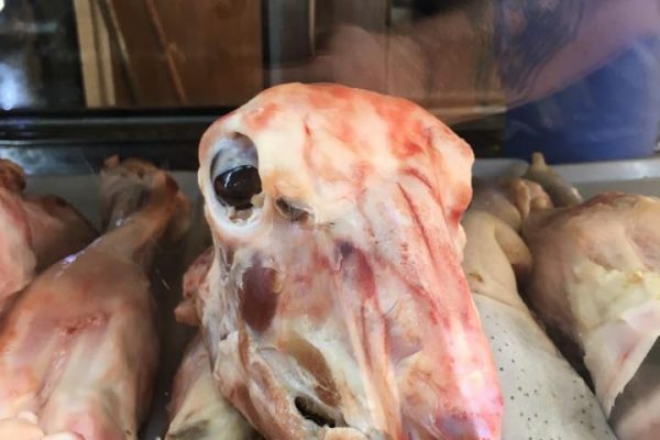 syi-blog-aaron-malone-3