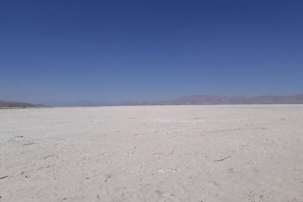 syi-blog-broni-ha-1