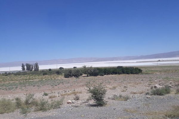 syi-blog-broni-ha-10