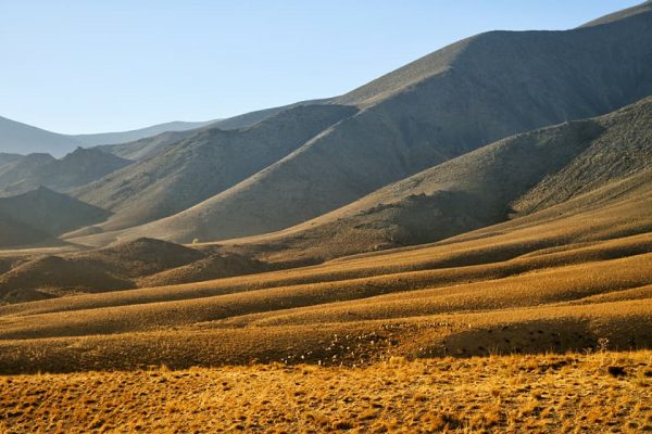 syi-blog-iran-george-palov-3